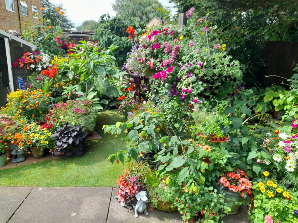 Last year's winning entry for Best Garden